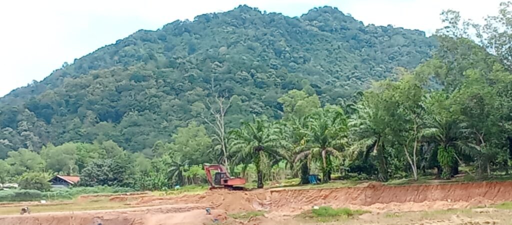 IMG-20250913-WA0042(1)