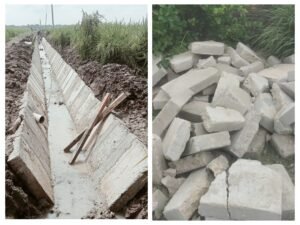 InCollage_20251012_184900060