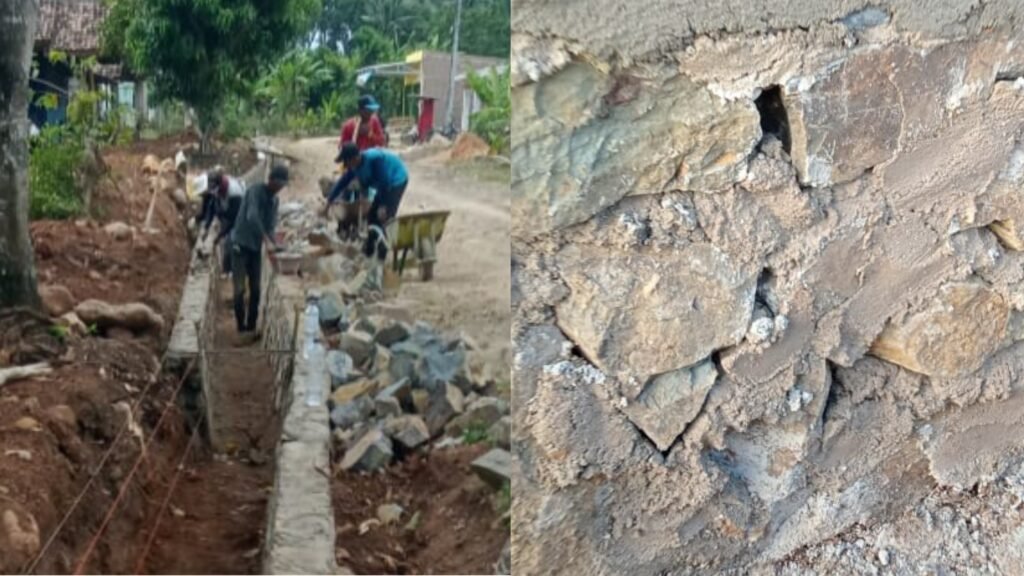 InCollage_20251104_231751943