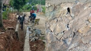 InCollage_20251104_231751943