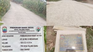 InCollage_20251111_143112319