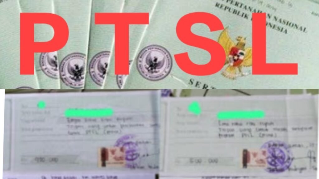 InCollage_20251113_142633104