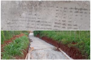 InCollage_20251126_114412981