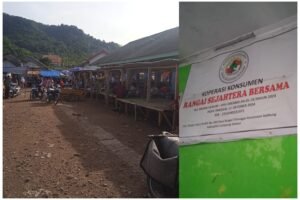 InCollage_20251212_191036694