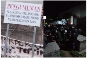 InCollage_20251219_203950637