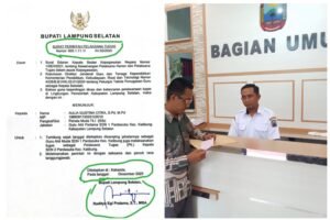 InCollage_20251226_111950453