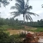 Tambang Pasir di Desa Triharjo Merbau Mataram Diduga Tanpa Ijin Berdiri di Lahan Kawasan Terus Beroperasi, Pekerja Tambang Akui ada Enam Titik Lokasi