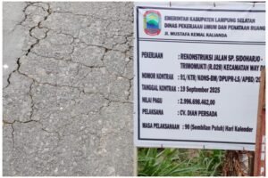 InCollage_20260102_135631270