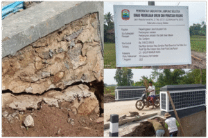 InCollage_20260106_215105695