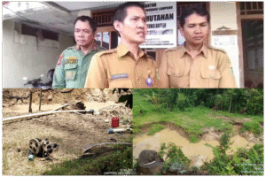 InCollage_20260206_000508900