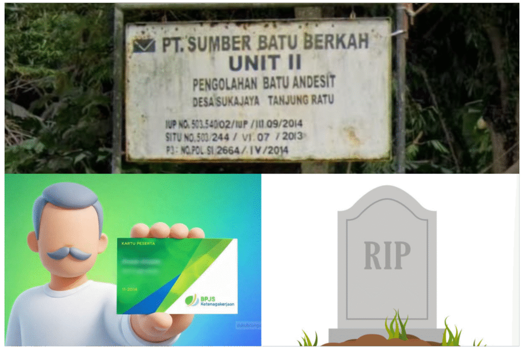 InCollage_20260213_120342240