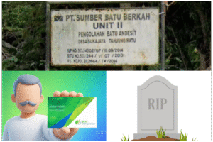 InCollage_20260213_120342240