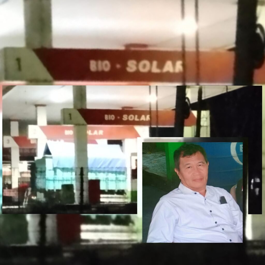 InCollage_20260213_215831706