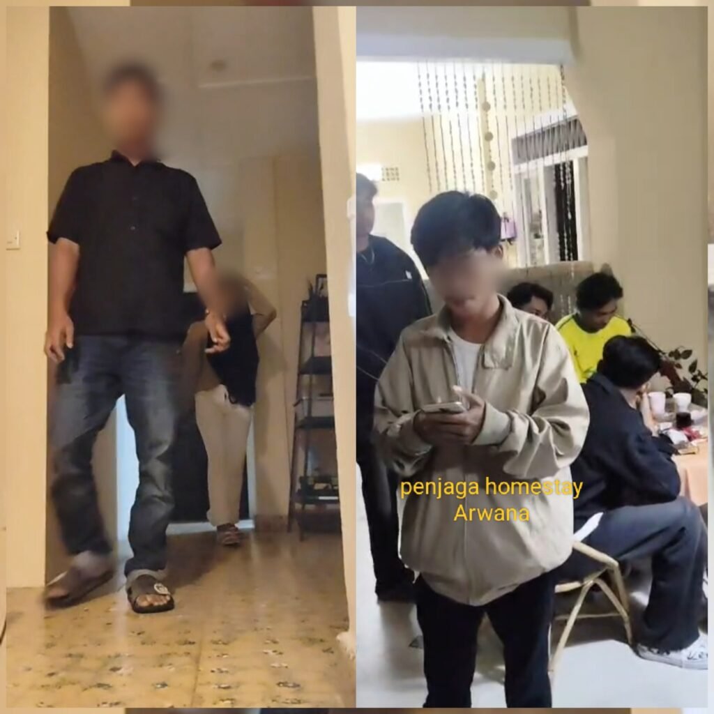 InCollage_20260215_023300598