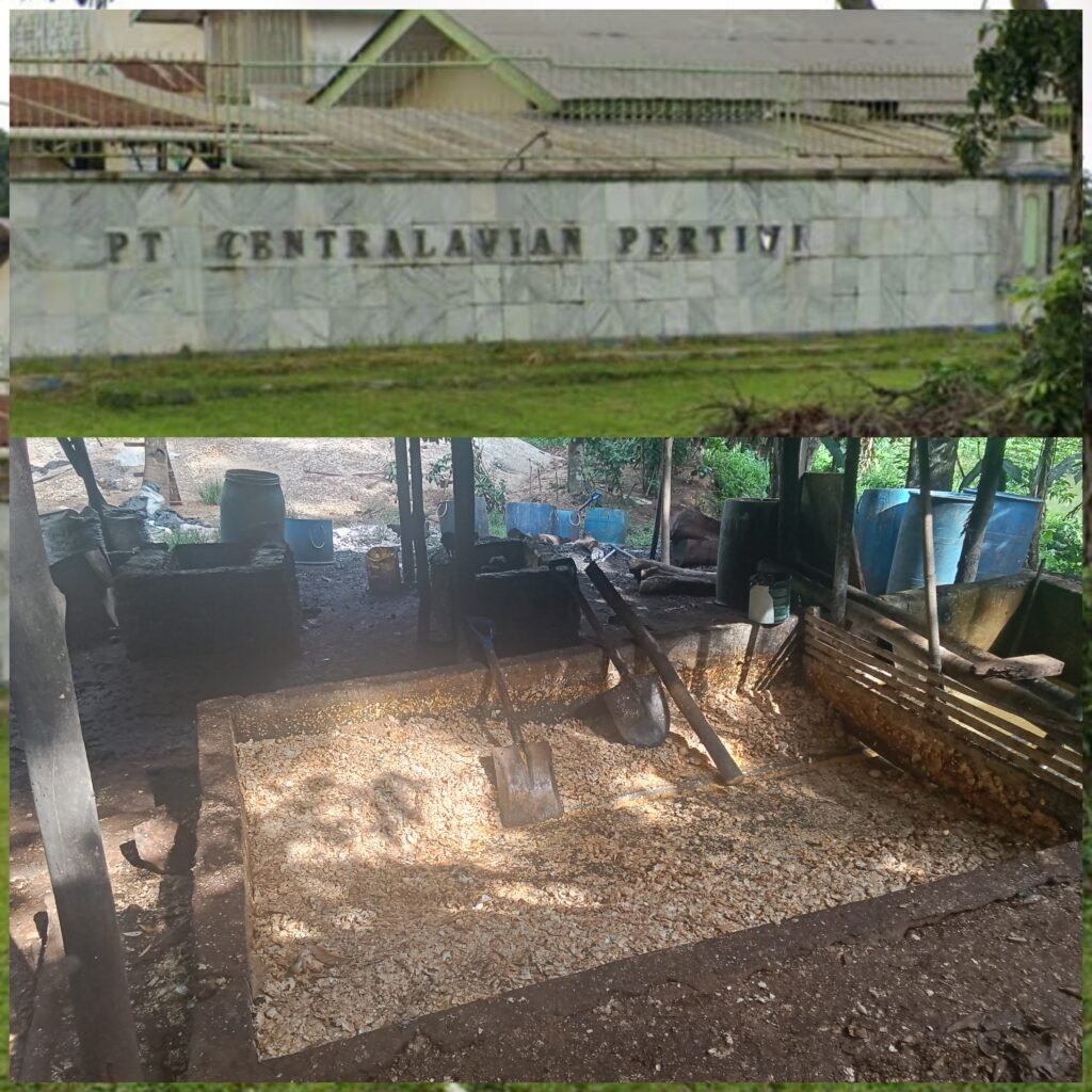 InCollage_20260220_201800863