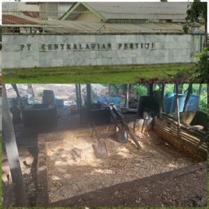 InCollage_20260220_201800863