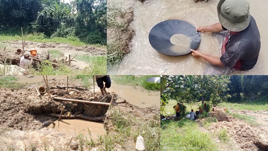 InCollage_20260222_201252654