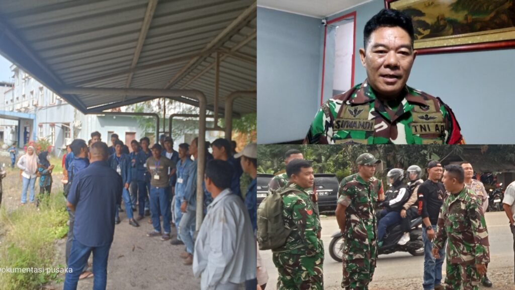 InCollage_20260223_090913281