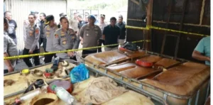 Screenshot_20260410_120049